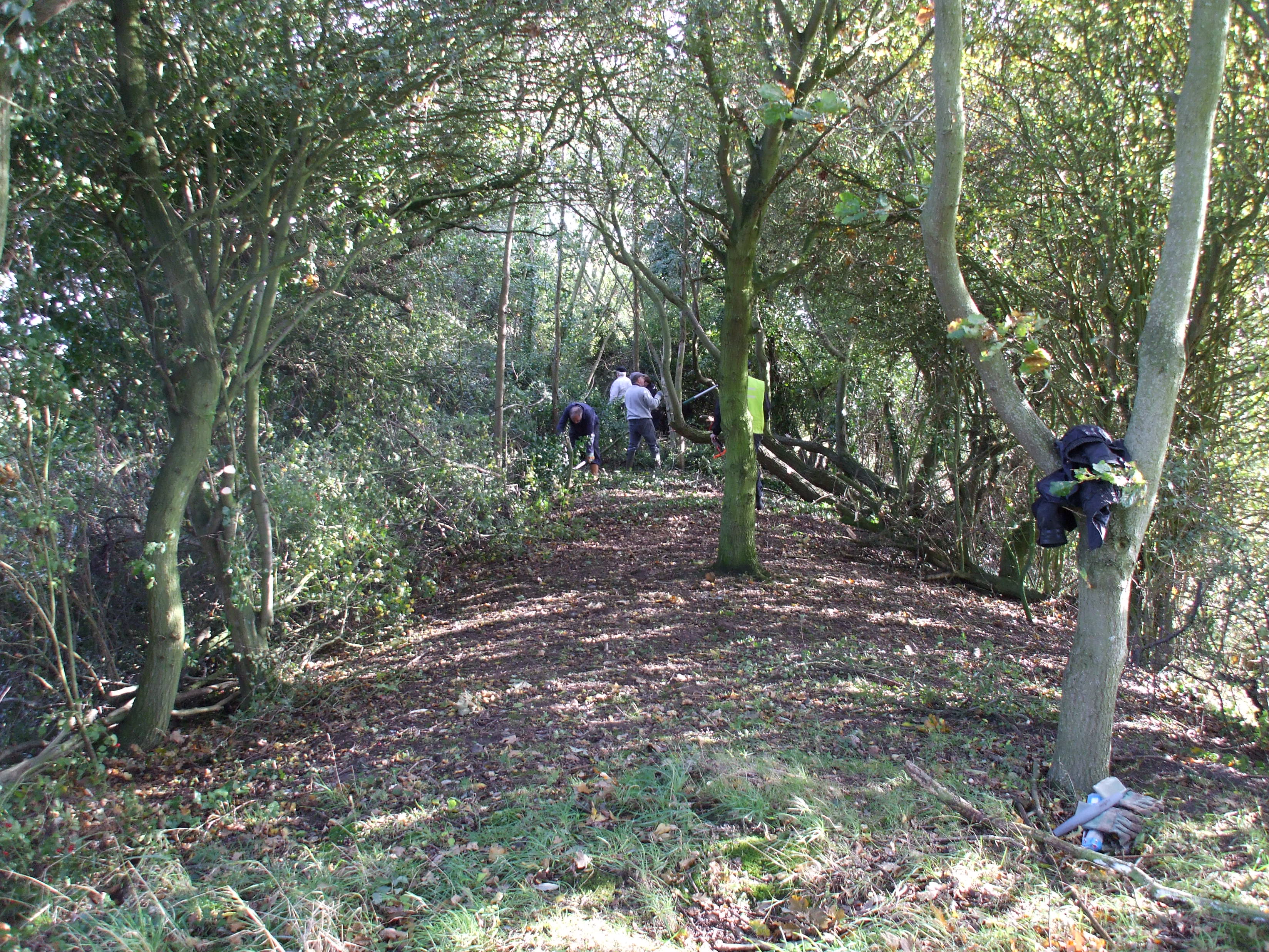 Wenhaston Environmental Volunteers make a start