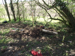 This boring-looking stump represents an hour's work!