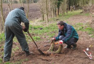 Stumping is fun - really it is!