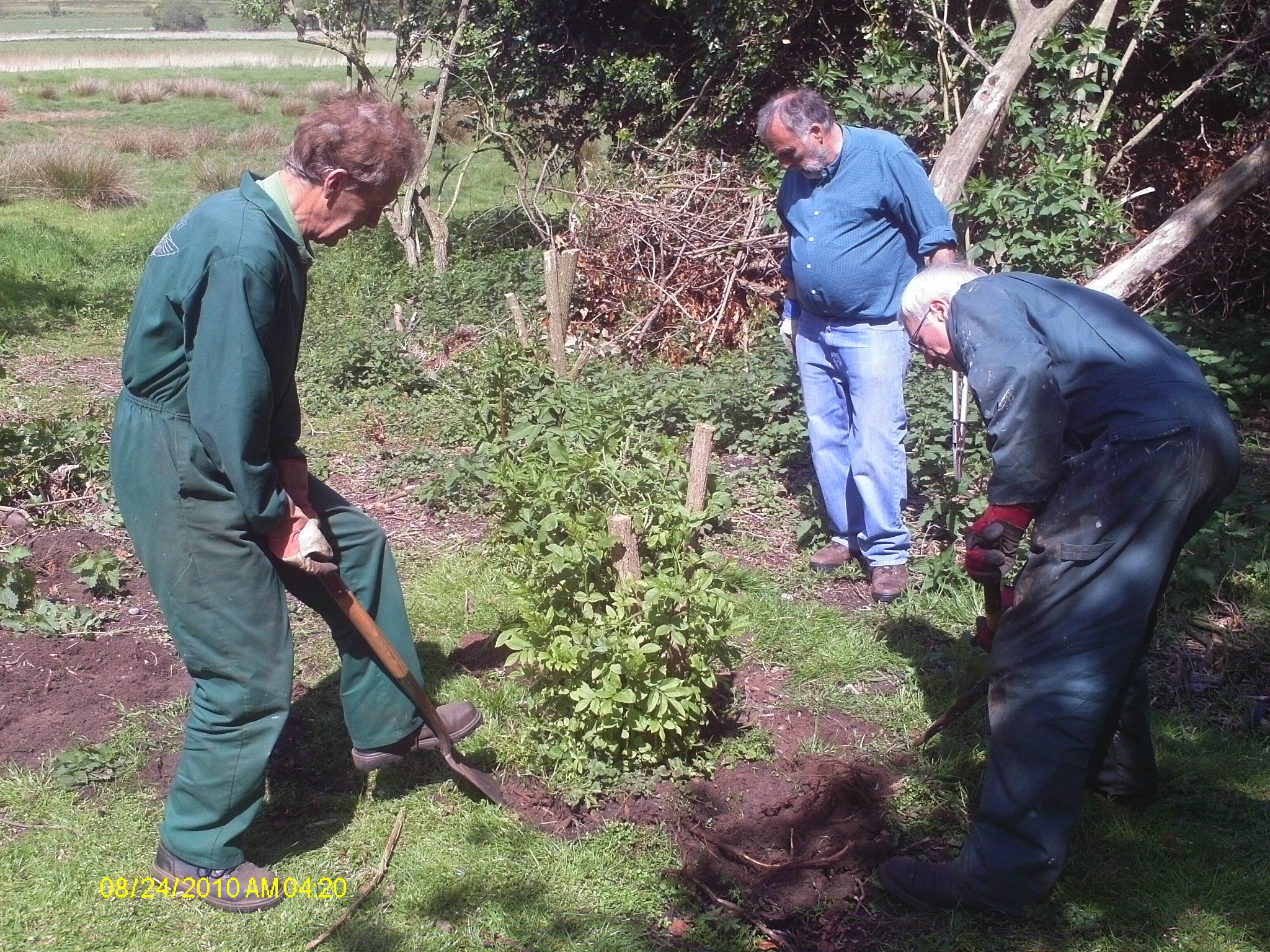 Stumping, clearance and fence marking