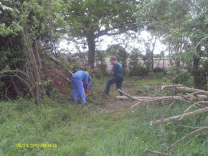 The crossing from the pasture