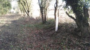 3 Mile Post