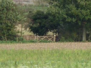 The driftway crossing from the Village