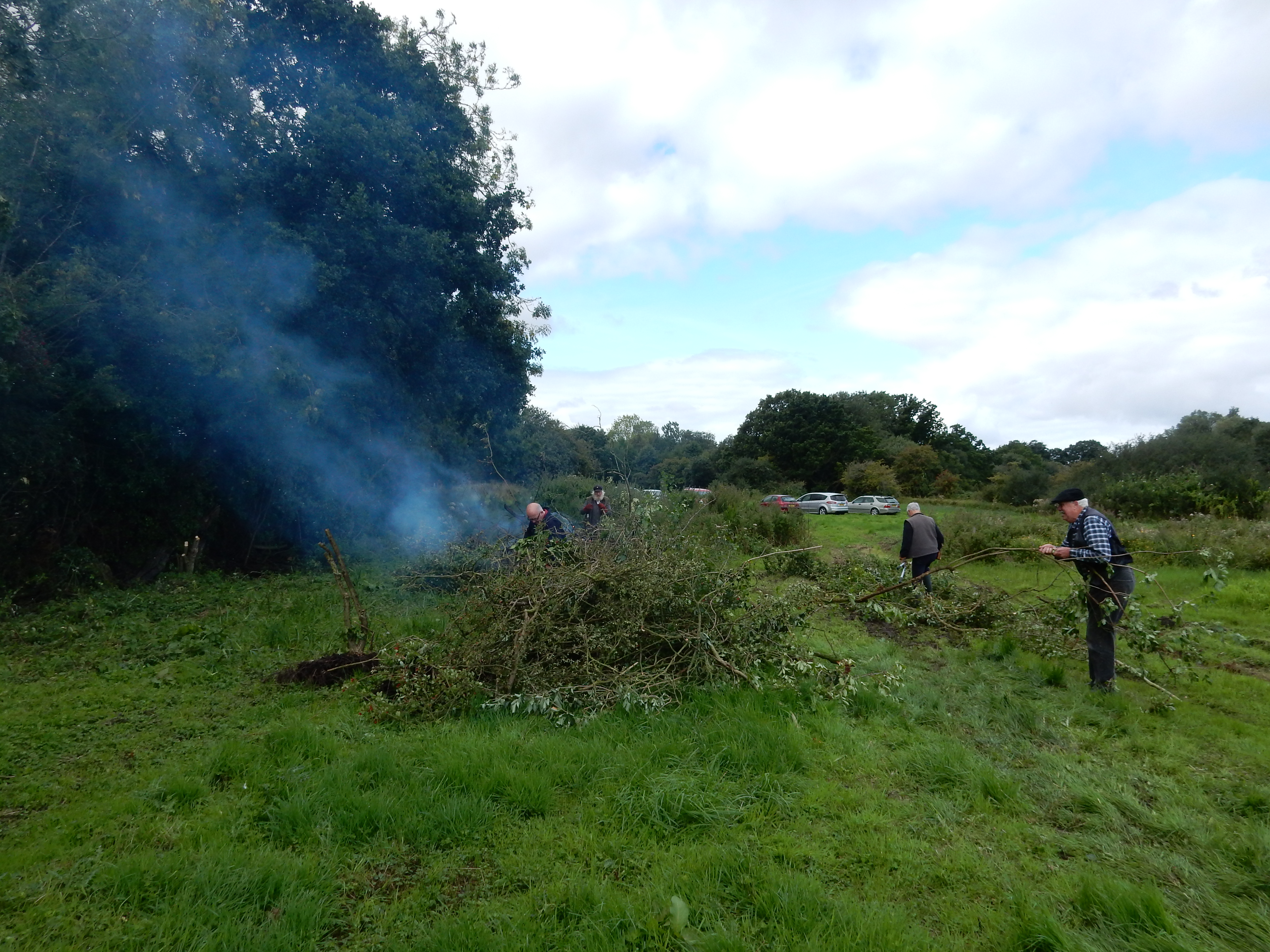 Yet more foliage, rain and mud – and progress in many areas