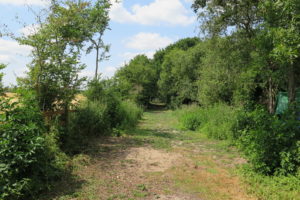 The trackbed, now cleared