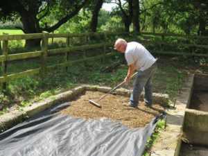 John H spreading shingle, SE corner of shed