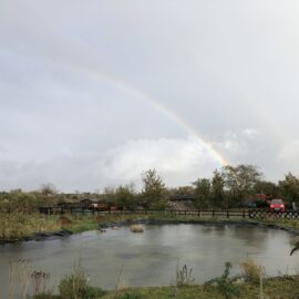Rainbow over Steamworks