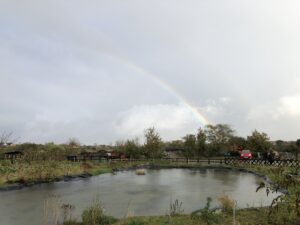 Rainbow over Steamworks